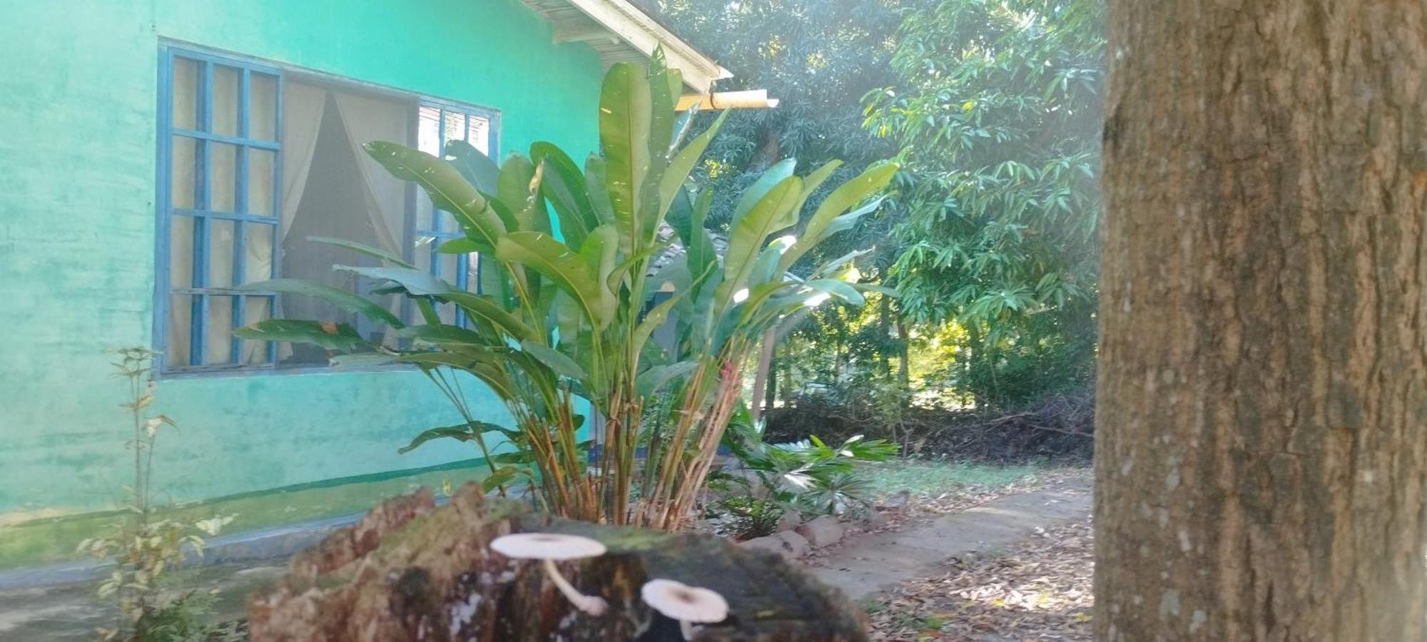 Hostal Juan Lindo San Pedro Sula Extérieur photo